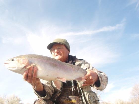 Big fish